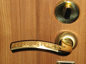 Замена дверной ручки входной двери в Зеленогорске